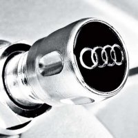 Genuine Audi Valve Dust Caps 