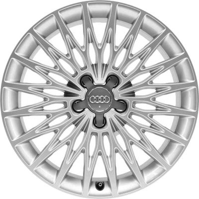 Audi Wheel 8V0601025BG