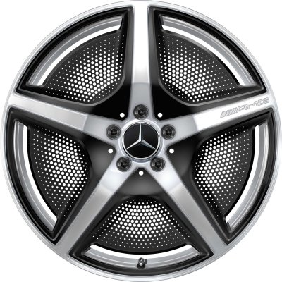 AMG Wheel A2954000000 and A2954000100
